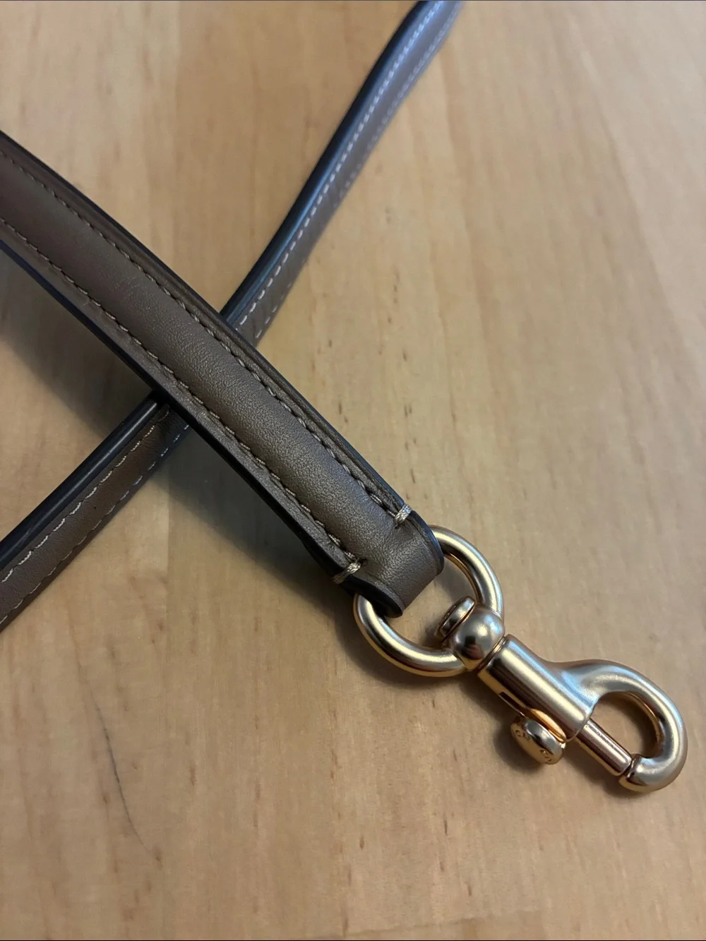 Coach Leather Adjustable Replacement Crossbody Bag Buckle Strap Taupe Gray